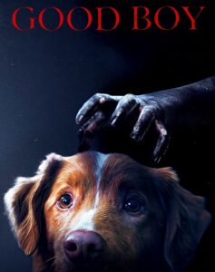 مشاهدة فيلم وتحميل Good Boy 2025 مترجم
