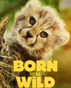 مشاهدة مسلسل وتحميل Born to be Wild الموسم الاول الحلقة 4 مترجمة
