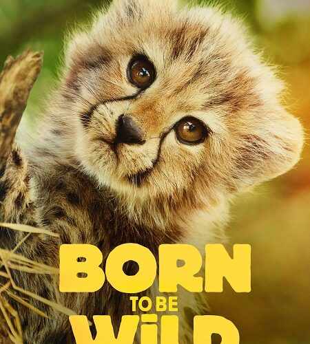 مشاهدة مسلسل وتحميل Born to be Wild الموسم الاول الحلقة 1 مترجمة