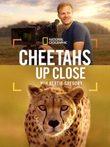 مشاهدة فيلم وتحميل Cheetahs Up Close with Bertie Gregory 2026 مترجم