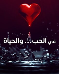 مشاهدة مسلسل وتحميل في الحب والحياة الحلقة 2