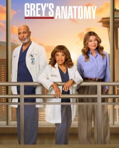مشاهدة مسلسل وتحميل Grey’s Anatomy الموسم 22 الحلقة 13 مترجمة