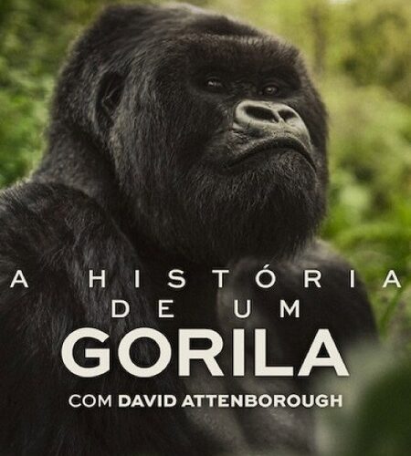 مشاهدة فيلم وتحميل A Gorilla Story Told by David Attenborough 2026 مترجم